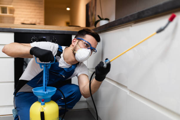 Best Pest Removal Services  in Cooper City, FL