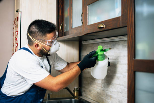 Best Mosquito Control Services  in Cooper City, FL