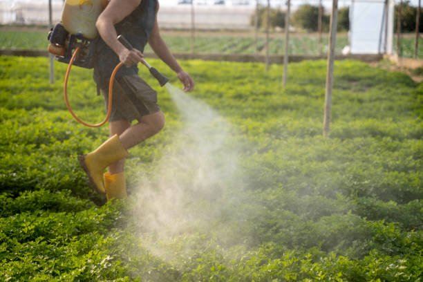 Best Pest Prevention Services  in Cooper City, FL