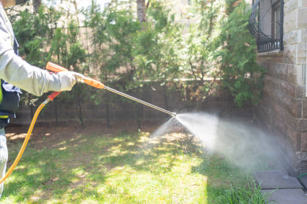 Best Bed Bug Extermination  in Cooper City, FL