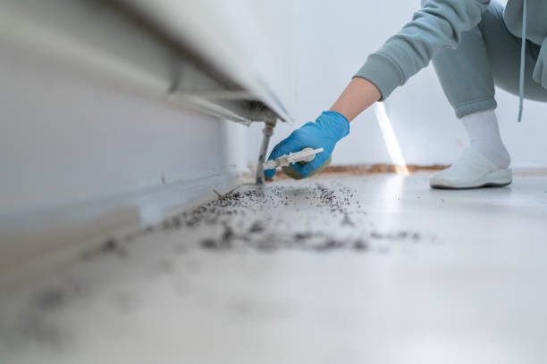 Best Residential Pest Control  in Cooper City, FL